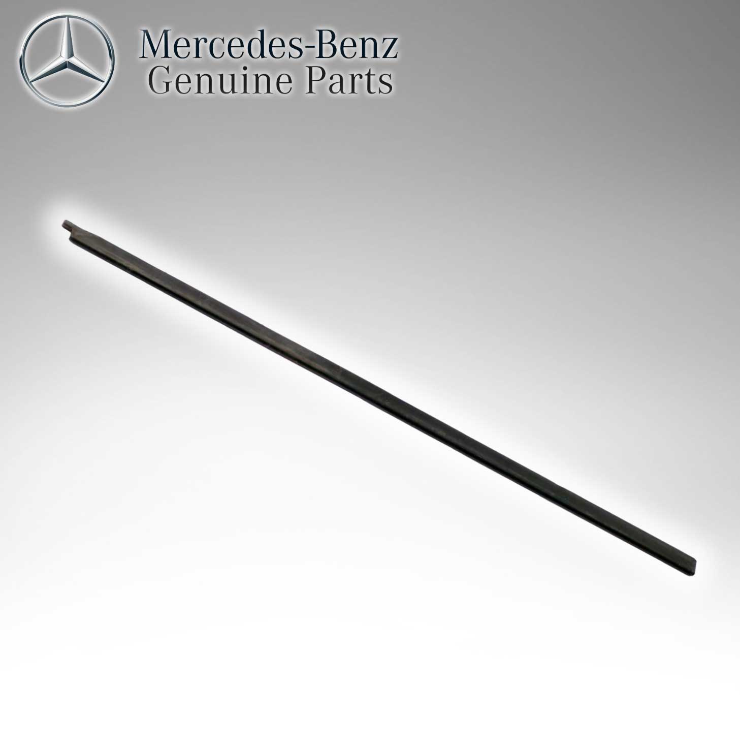 Mercedes Benz Genuine Door Bottom Ledge Molding 2206901062