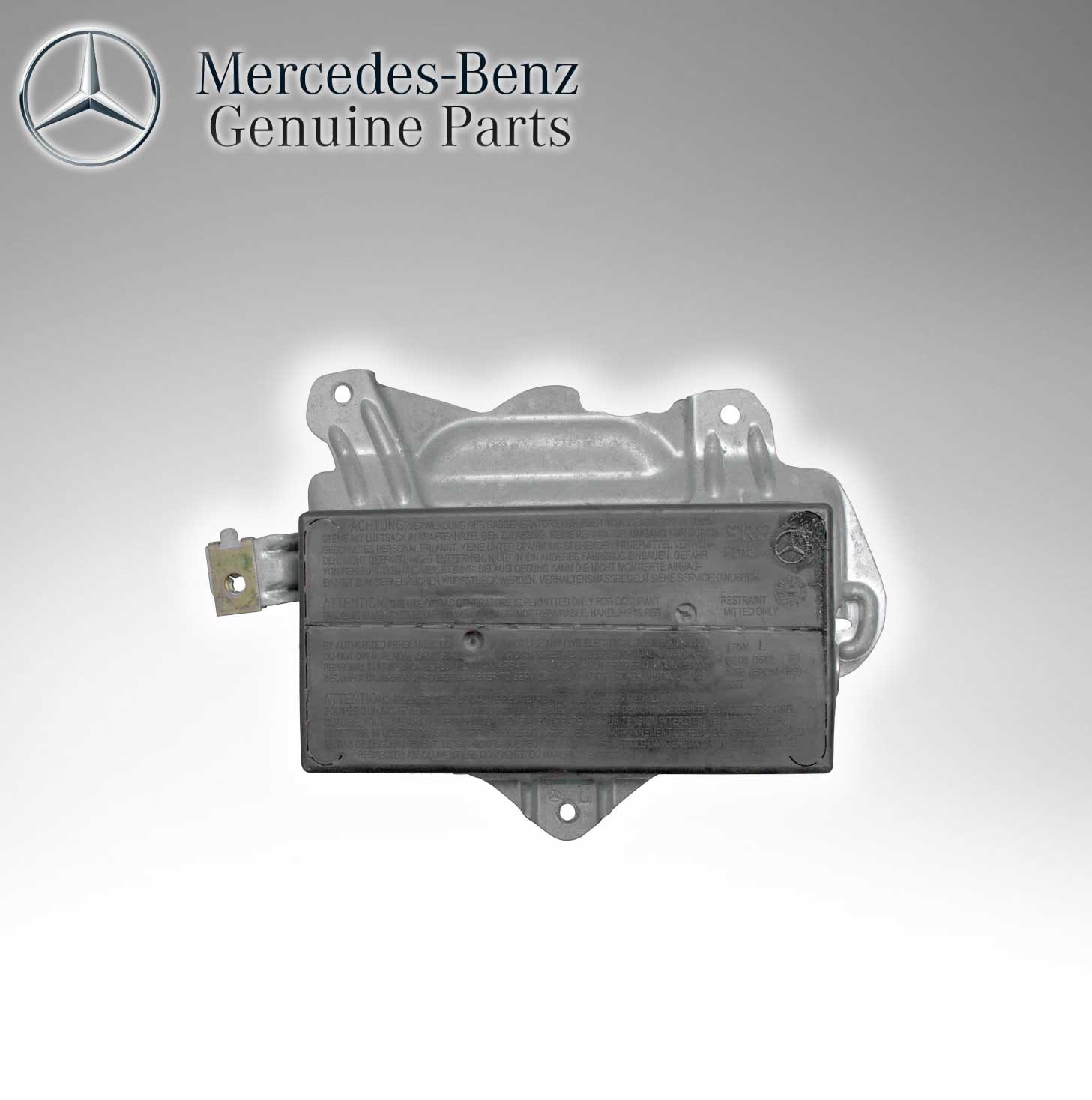 Mercedes Benz Genuine Driver Door Bag Module 2208600305