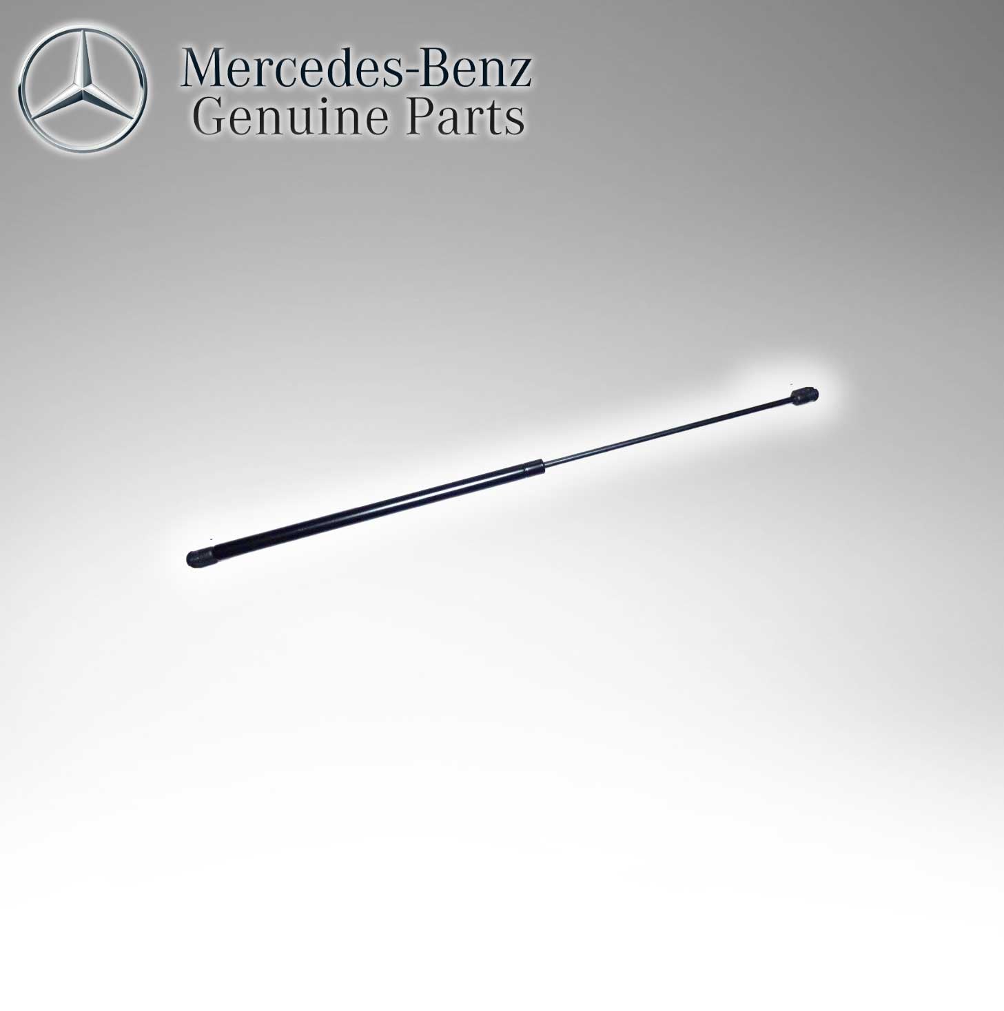 Mercedes Benz Genuine BONNET HOOD GAS STRUTS 2208800329