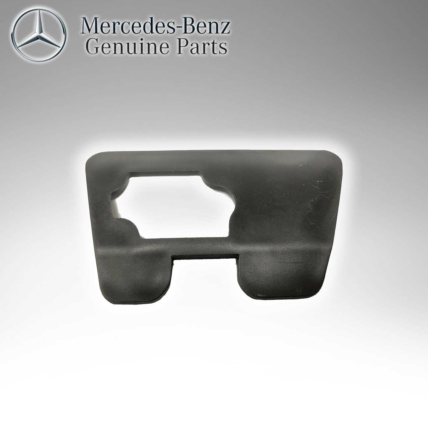 Mercedes Benz Genuine Bumper Plate 2208850411