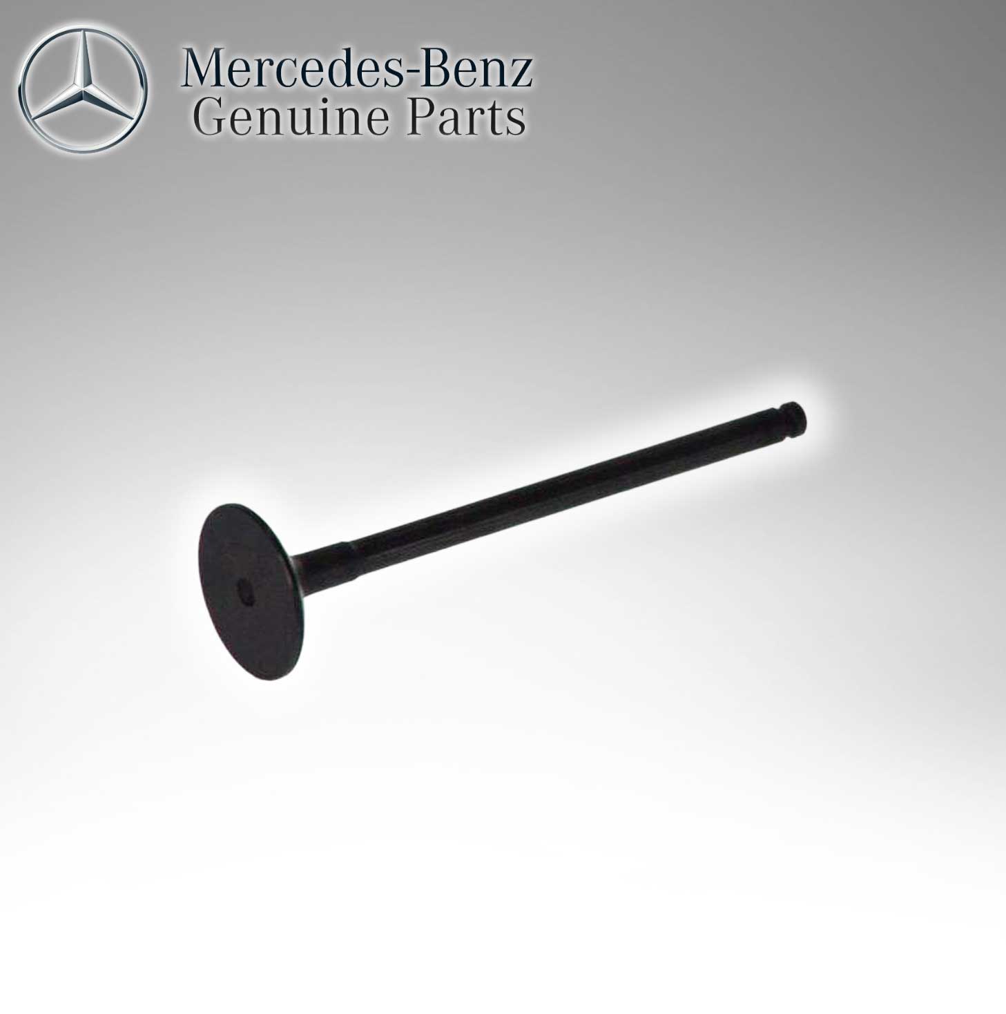 Mercedes Benz Genuine Intake Valve 6060531101