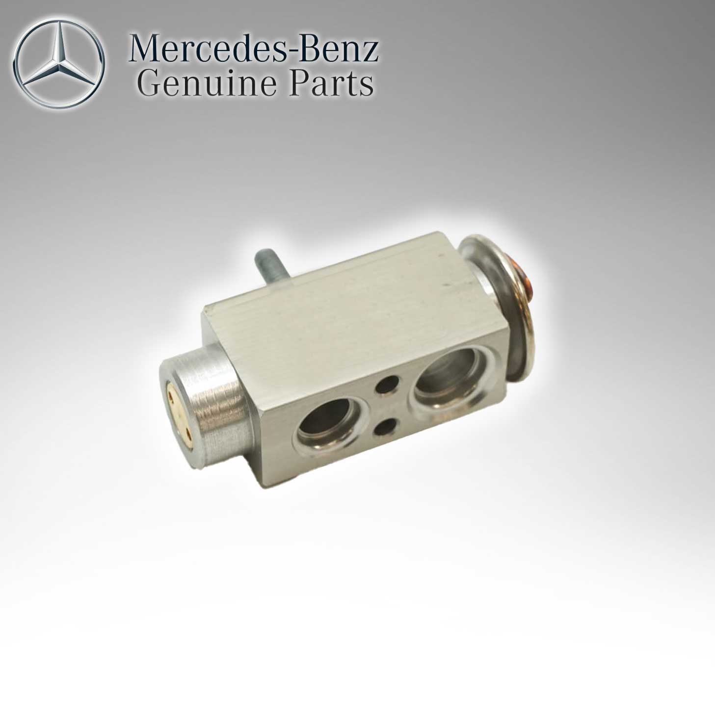 Mercedes Benz Genuine Valve  (202 830 0183) 9018300084