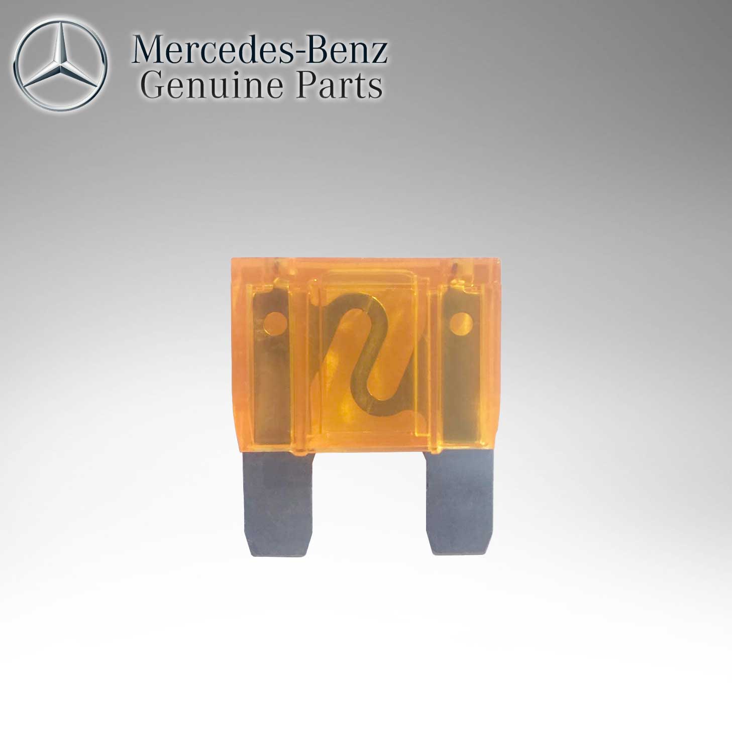 Mercedes Benz Genuine Fuse N910153000000