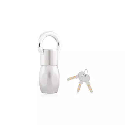 Godrej Scorpio Lock, Solid Steel Body with Rivetless, Jointless Construction Satin Nickel Finish 7394