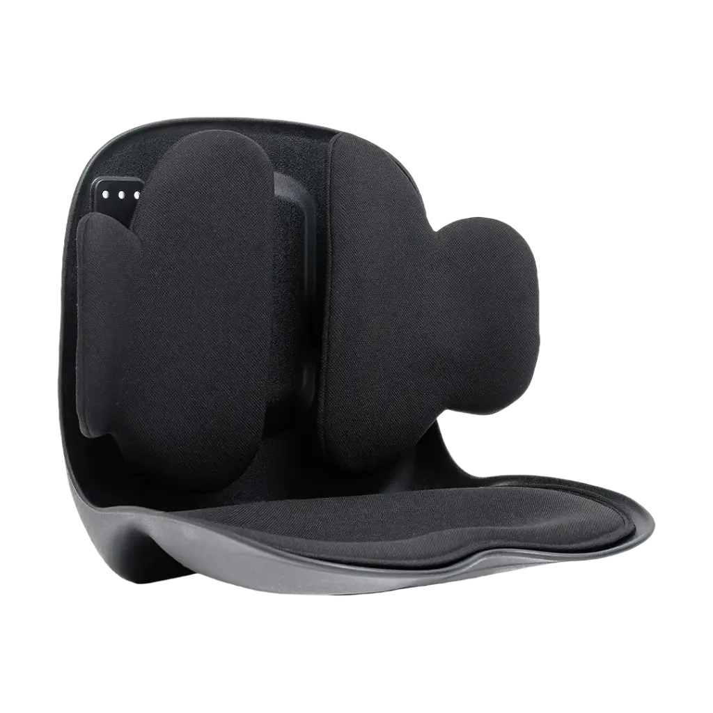 Green Lion Lumbar Pro Adjustable Back Support - Black