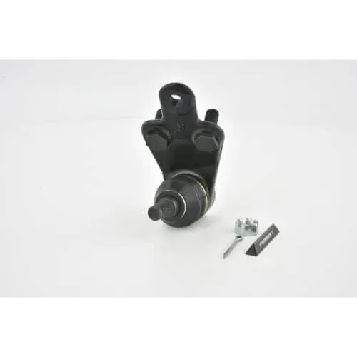 Toyota Camry/Hybrid ACV51 Front Lower Ball Joint Right