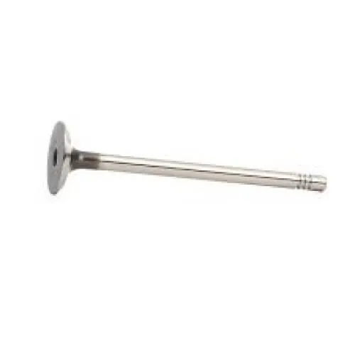 Volkswagen Beetle/Golf Exhaust Valve
