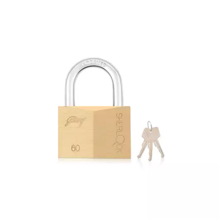 Godrej Locking Solutions and Systems Locks Sherlock, High Precision Brass Pin Tumbler Mechanism, Anti-Pick Technology to Enhance Security with Common Key 60mm Brass 4pcs 2595