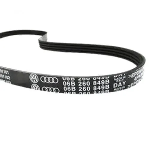 Volkswagen Passat V-Ribbed Belts (4PK856)