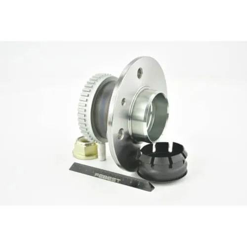 Renault Scenic I Rear Wheel Hub