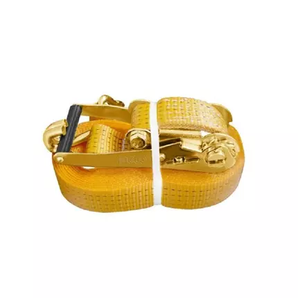 Ingco Cargo Belt 4T 10m HRSP4101