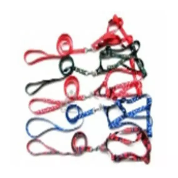 PV Dog Leash 1.0*120cm Diameter 15cm Harness FP-Y2008S