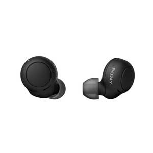Sony WF-C500