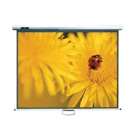 Office Point Projector Screen Wall Mount 96'x96' (135") W96