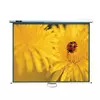 Office Point Projector Screen Wall Mount 96'X 72' (120") W9672